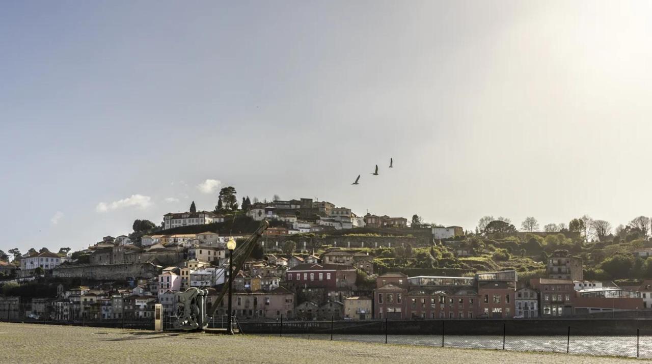 Wonderful Porto Design Apartments Zewnętrze zdjęcie