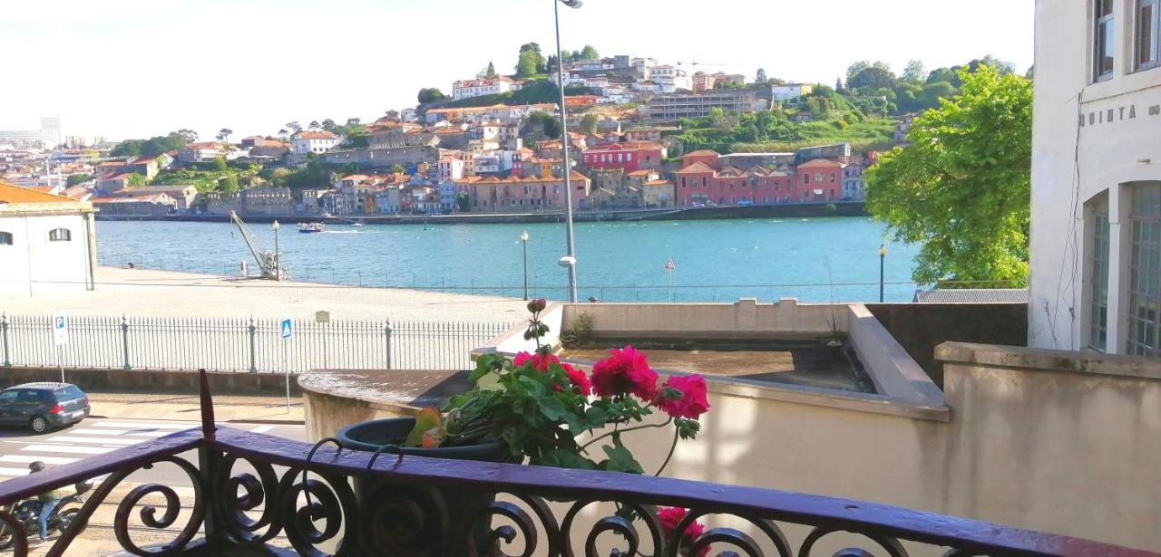 Wonderful Porto Design Apartments Zewnętrze zdjęcie